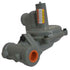 80274 Frost Fighter DF1500 10-2 PSI Stage Gas Reg B31R